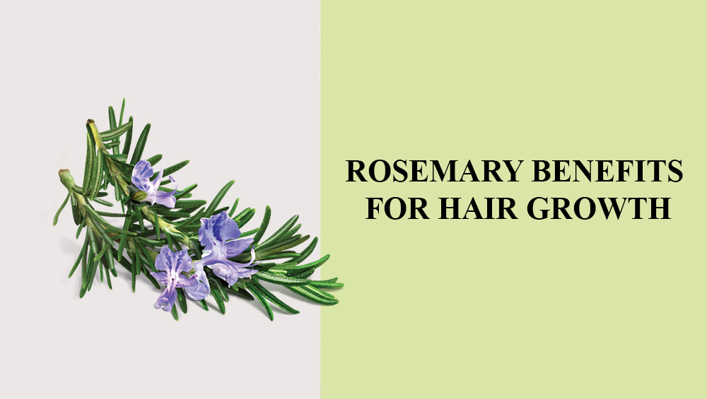 Rosemary Benefits For Hair Growth